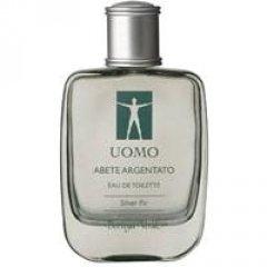 Abete Argentato