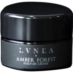 Amber Forest
