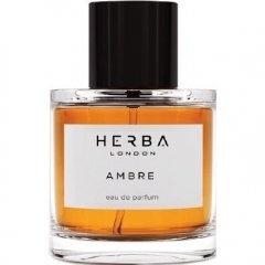 Ambre