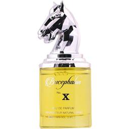 Armaf Niche - Bucephalus No. X