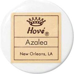 Azalea