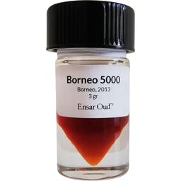 Borneo 5000