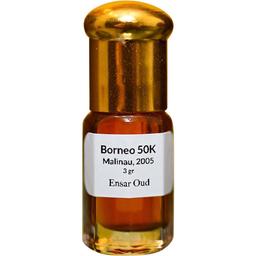 Borneo 50K