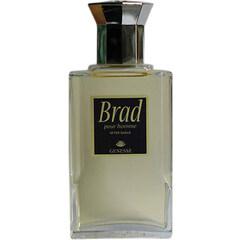 Brad