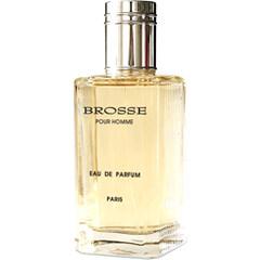 Brosse pour Homme