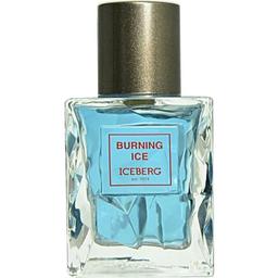 Burning Ice