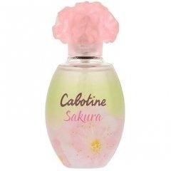 Cabotine Sakura