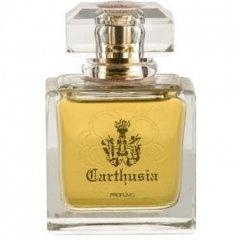 Carthusia Lady