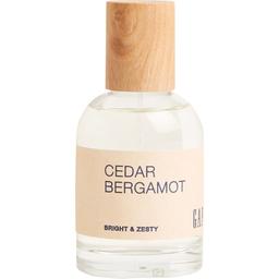 Cedar Bergamot
