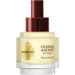 Cedrus Ascent