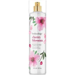 Cherry Blossom