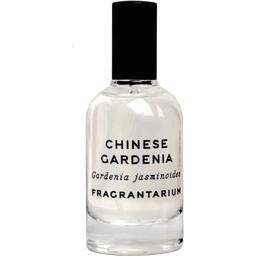 Chinese Gardenia