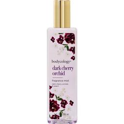 Dark Cherry Orchid