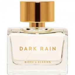 Dark Rain