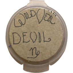 Devil