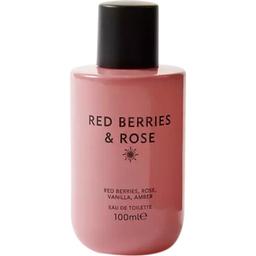 Discover Intense - Red Berries & Rose