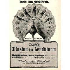 Dralle's Illusion - Wistaria