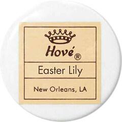 Easter Lily