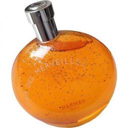 Elixir des Merveilles