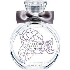 English Garden - Gentle Camelia
