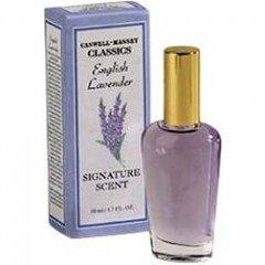 English Lavender