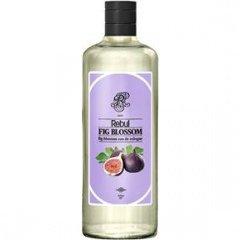Fig Blossom