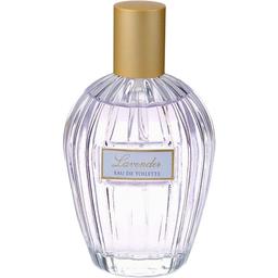 Floral Collection - Lavender