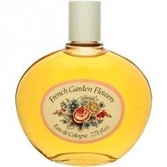 French Garden Flowers - Jasmine