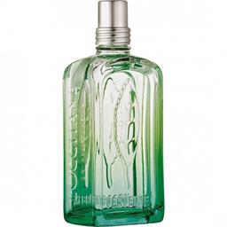 Frisson de Verveine
