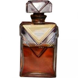 Gardénia Royal