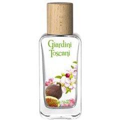 Giardini Toscani - Vialetto delle Delizie