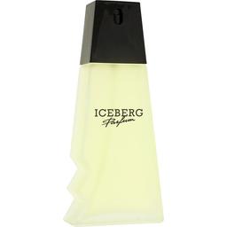 Iceberg