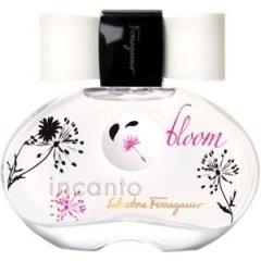Incanto Bloom