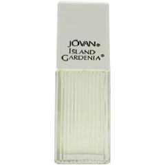 Island Gardenia