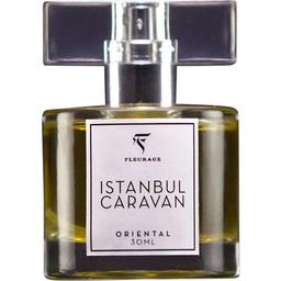 Istanbul Caravan