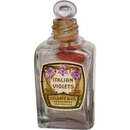 Italian Violets