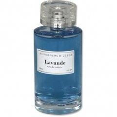 Lavande