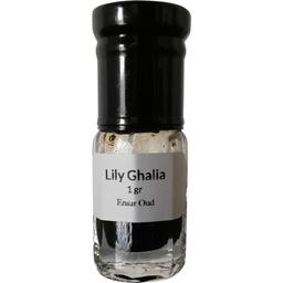 Lily Ghalia