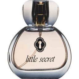Little Secret