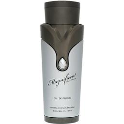 Magnificent pour Homme