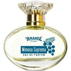 Mimosa Suprema