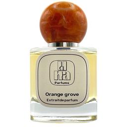 Orange Grove