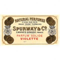Parfum Solide Violette