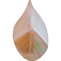 Parfum d'Été