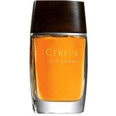 Pour Homme N° 14
