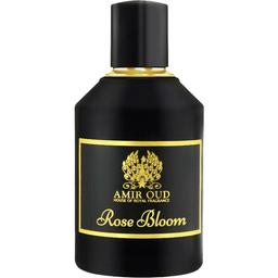 Rose Bloom