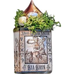 Sea Siren