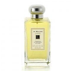 Verbenas of Provence