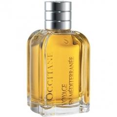 Voyage en Méditerranée - Immortelle de Corse