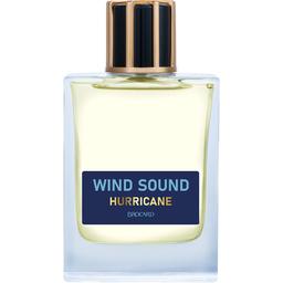 Wind Sound - Hurricane